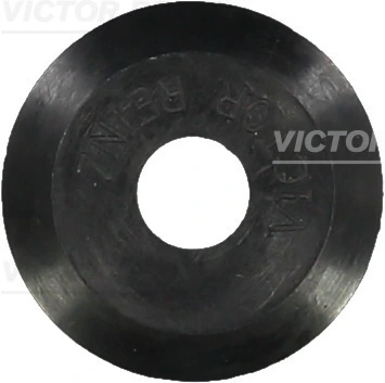 Seal Ring, valve stem